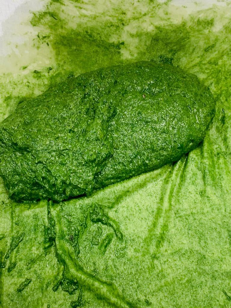 drmamehmood's tweet photo. Our 10,000 L microalgae cultivation has been successful in collaboration with industry!
We are ready for large-scale cultivation of microalgae for carbon capture, resource recovery, wastewater recycling, and biomass production of biofertilizers, animal feed, and nutraceuticals https://t.co/1SG5AgJuGn