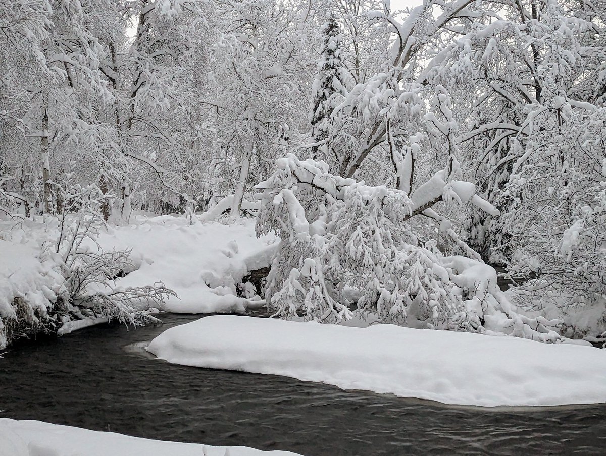 butwinmk's tweet photo. All the snow! #snow #outside #winter https://t.co/fDoteO47p5
