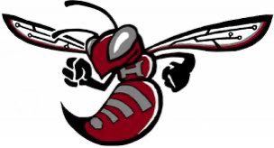 Hudson Basketball tweet media