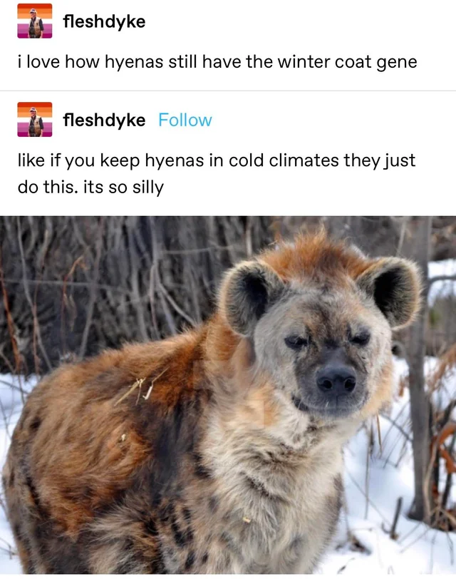 interesting_aIl's tweet image. 