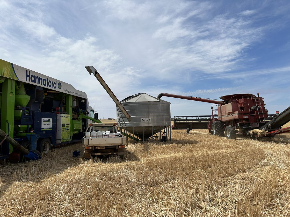 Phillip Crute tweet media