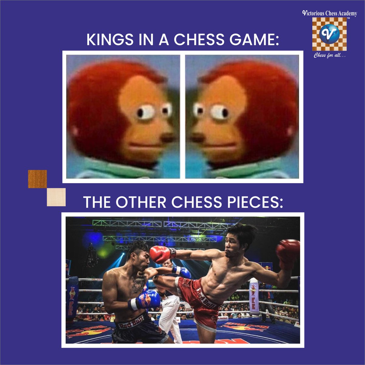 VictoriousChess's tweet image. The facts in Chess 😄
victoriouschess.com
#chessmemes #chessfun #chessfacts