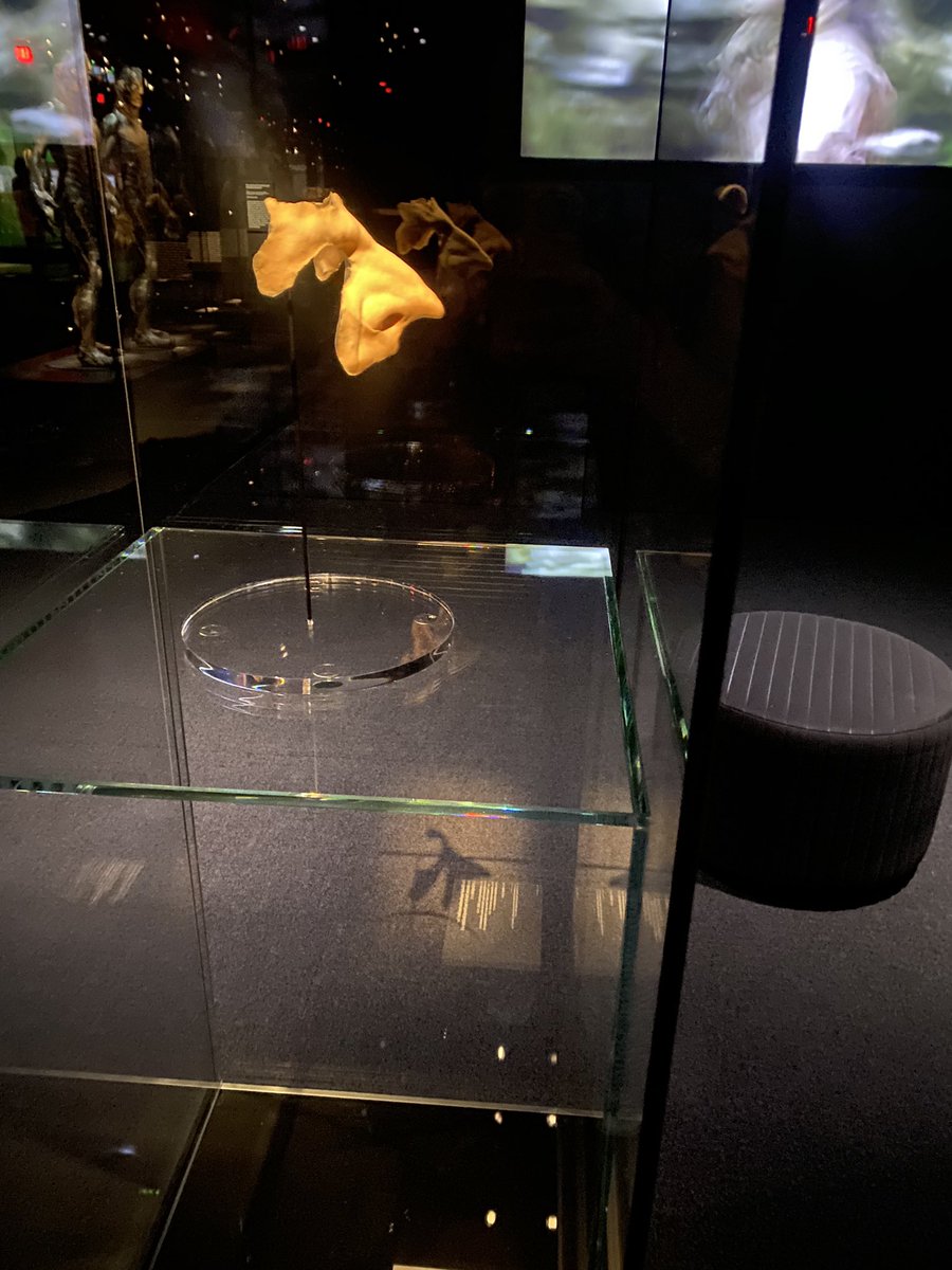 It’s crazy that the Academy Museum has Bradley Cooper’s nose from Maestro