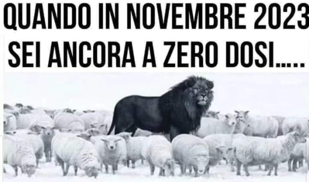 Ora mi aspetto i leoni da tastiera con i loro sproloqui.. 😄💪