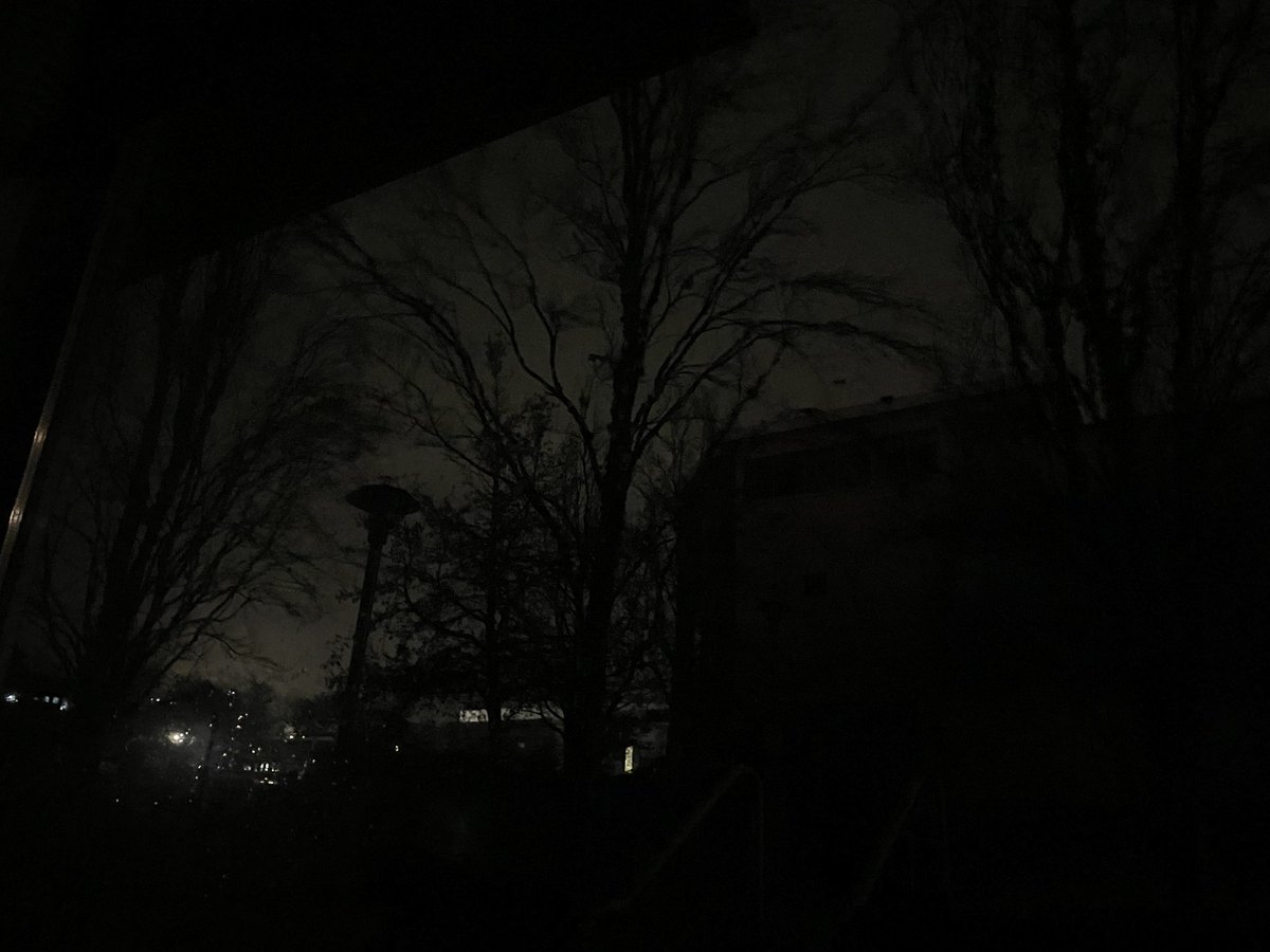 Shalon Sims tweet media