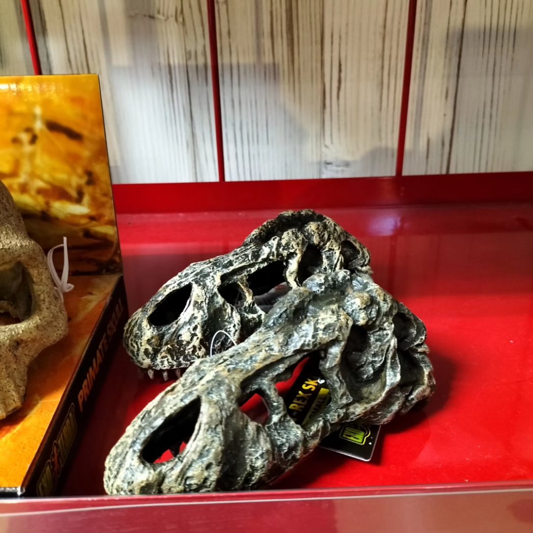 DragonBox11's tweet photo. デザインシェルター入荷しました

#爬虫類
#長野爬虫類
#駒ヶ根爬虫類
#DragnBox
#爬虫類ショップ
#爬虫類好きの人と繋がりたい https://t.co/SGRKhU61Rp