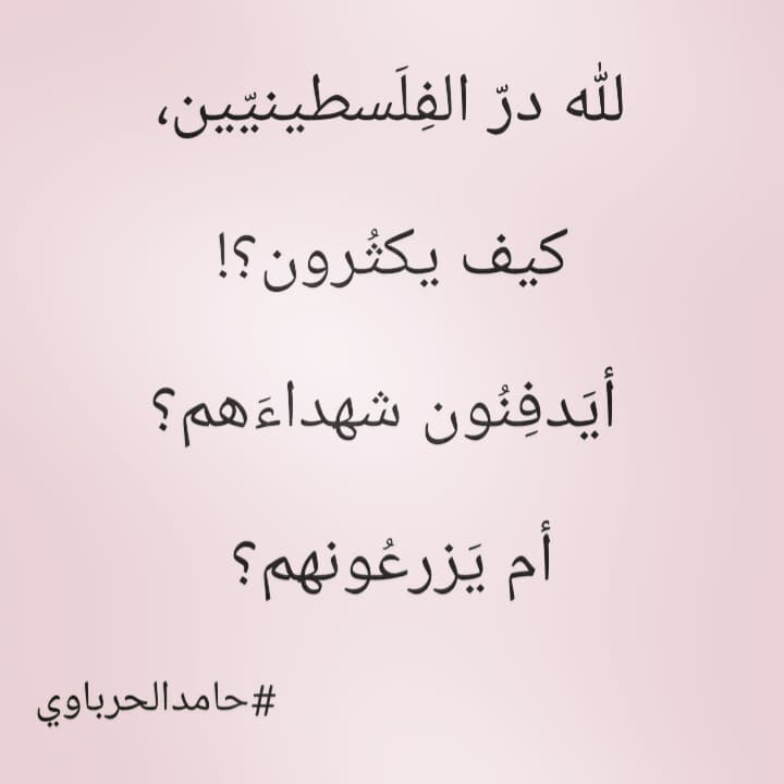 لله درّ الفِلَسطينيّين، 
كيف يكثُرون؟! 
أيَدفِنُون شهداءَهم؟ 
أم يَزرعُونهم؟ 

#حامدالحرباوي