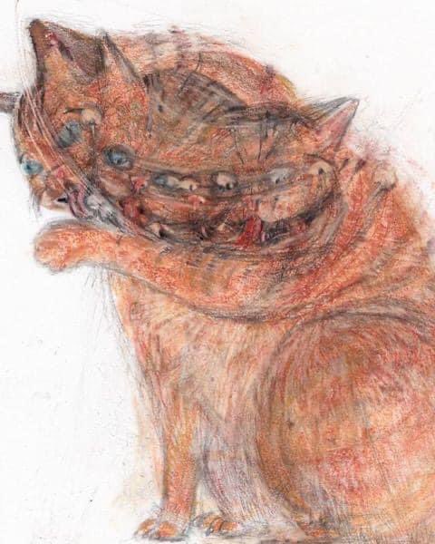 CATBGG's tweet photo. When the Teacher told to draw the Cat's actions  #cats #catarts https://t.co/x9LxhrjbwS