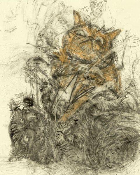 CATBGG's tweet photo. When the Teacher told to draw the Cat's actions  #cats #catarts https://t.co/x9LxhrjbwS