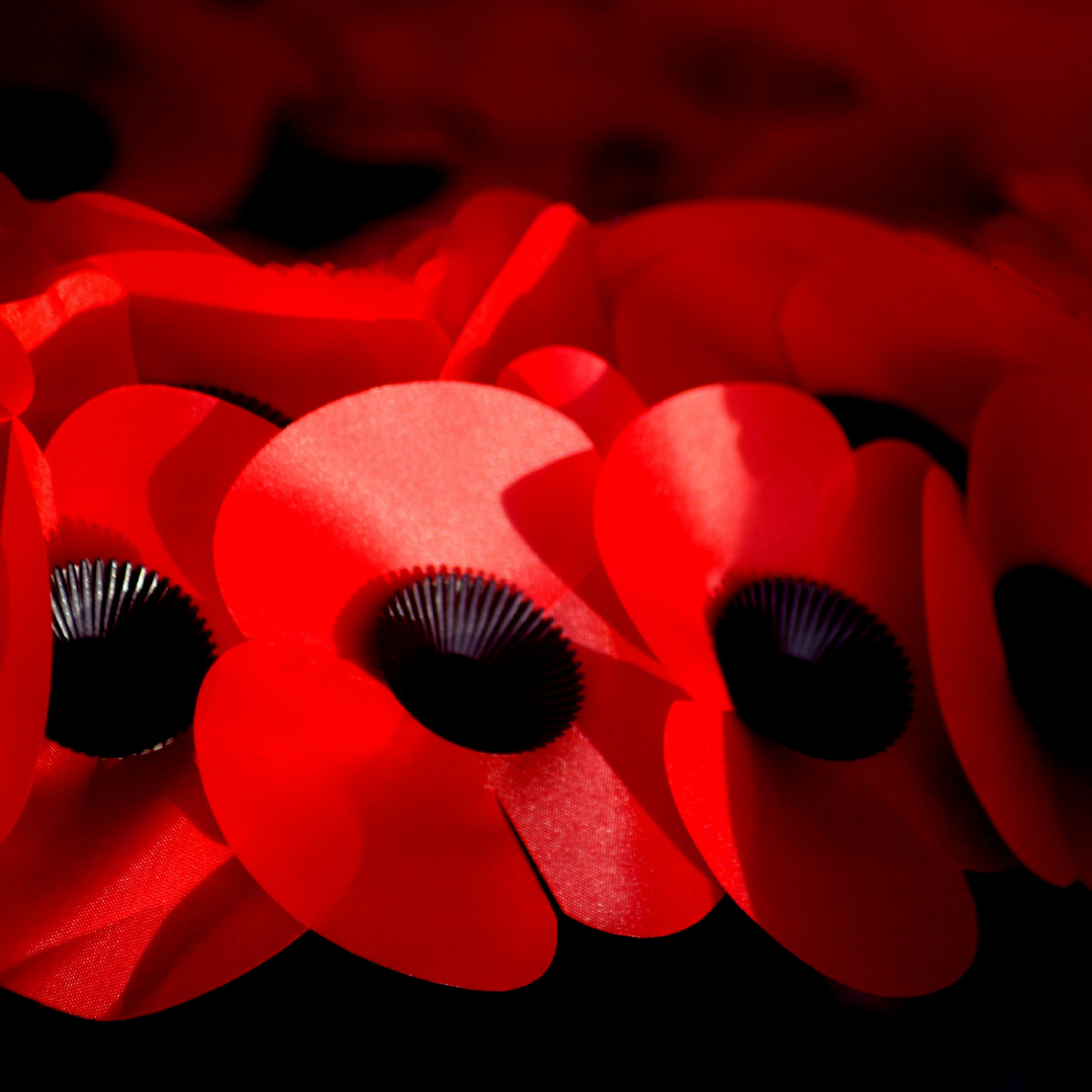 Today, our colleagues across the Society will be holding a 2 minute silence to pay their respects in remembrance of those who lost their lives in service.