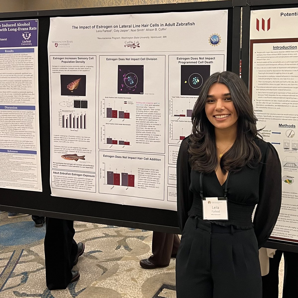 Coffin Lab (@coffinlab) on Twitter photo One of our undergraduate researchers, Leila, presented research on the impact estrogen has on hair cell density in adult zebrafish at the Murdock College Science Research Conference! ๐ฅผ๐<a href="/MurdockTrust/">Murdock Trust</a> <a href="/allison_coffin/">Allison Coffin, PhD</a> <a href="/wsuv_research/">WSUV Research</a> One of our undergraduate researchers, Leila, presented research on the impact estrogen has on hair cell density in adult zebrafish at the Murdock College Science Research Conference! ๐ฅผ๐<a href="/MurdockTrust/">Murdock Trust</a> <a href="/allison_coffin/">Allison Coffin, PhD</a> <a href="/wsuv_research/">WSUV Research</a>