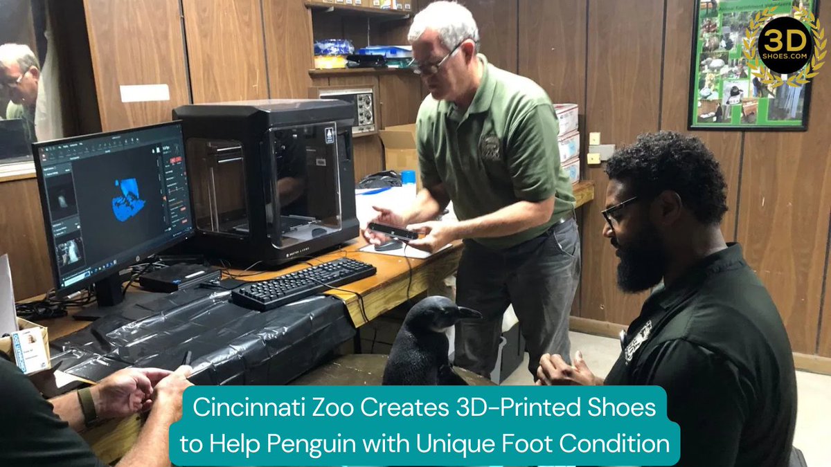 Cincinnati Zoo Creates 3D-Printed Shoes to Help Penguin with Unique Foot Condition

#3DShoes #3DPrintedShoes #3DPrinted #3DPrinting #Penguin #CincinnatiZoo #BotanicalGarden #WKRC #SaveAnimals #HelpAnimals

3dshoes.com/blogs/news/cin…