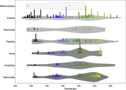 I have a new paper that should be of interest to visual ecologists and #lightpollution folks. Building on previous work, I've compiled large databases that characterize the spectral sensitivity of terrestrial wildlife species. Free access here:  authors.elsevier.com/sd/article/S14…  1/