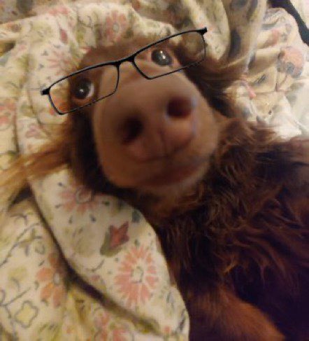 i will never advocate for letting trash teammates get away w/ shit talking when THEYRE THE ONES SUCKING!! absolutely tell them they suck more shit than a german pornstar! or tell them theyre shittier than a german porno!! hope this helps! ^_^