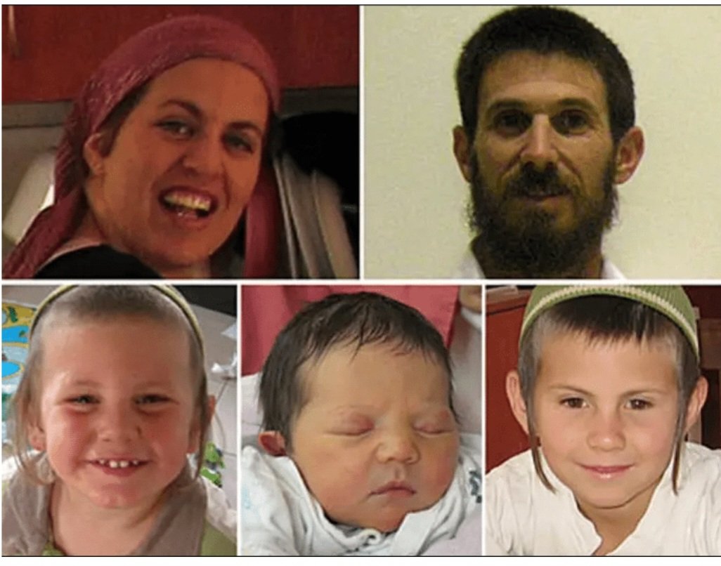 avishai matia tweet media