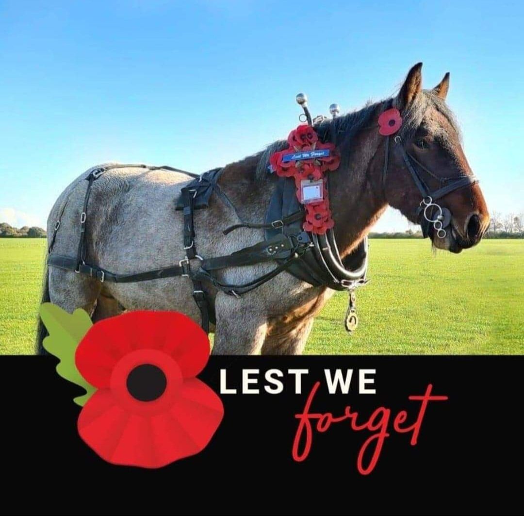 They shall grow not old, as we that are left grow old:
Age shall not weary them, nor the years condemn.
At the going down of the sun and in the morning
We will remember them