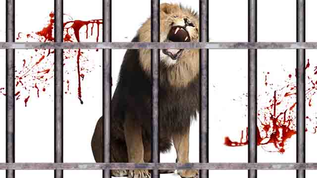 Daniel 12:12
Blessed is he that waiteth, and cometh to the thousand three hundred and five and thirty days

Al-Aqsa Mosque in Jerusalem, start 685 AD

685 + 1335 = 2020 (no suicide before this)

#YHWH #Jesus #JesusChrist #Judaism #Torah #Revelation #Simulation #Aliens #ENDOFEARTH