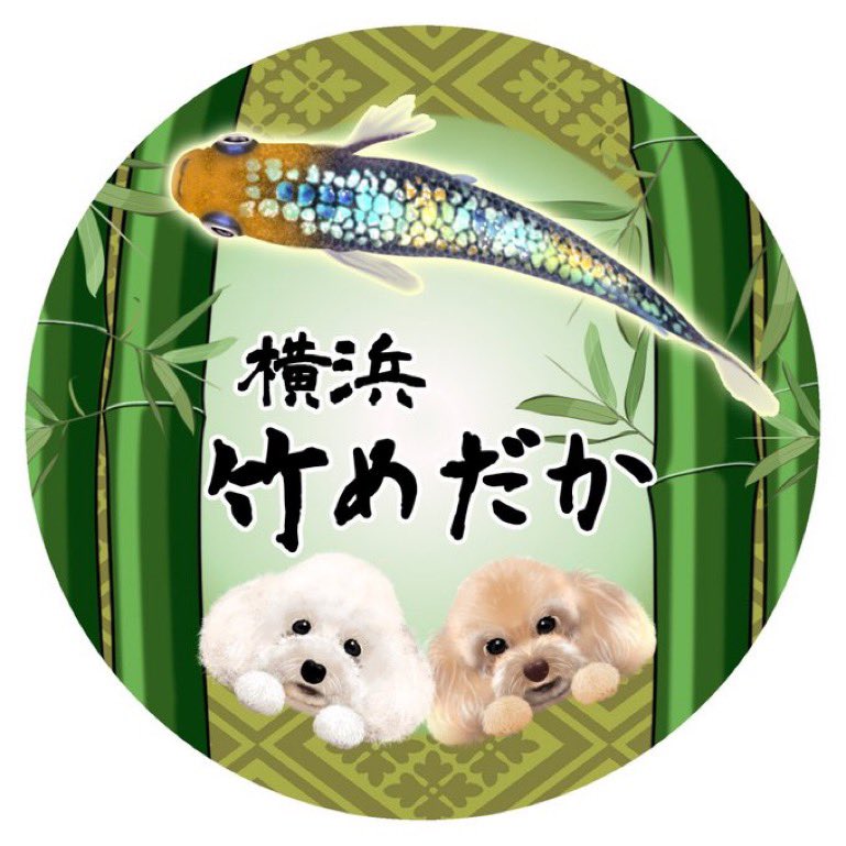 メダカ飼育正面ヒーターイベント金魚すくい祭り