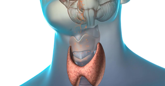 viveknnair's tweet image. Monitor your thyroid health with the Ultra TSH Test. Timely diagnosis helps manage thyroid problems effectively! 🙌
healthcarentsickcare.com/products/ultra…
#thyroidhealth #TSHtest #wellness