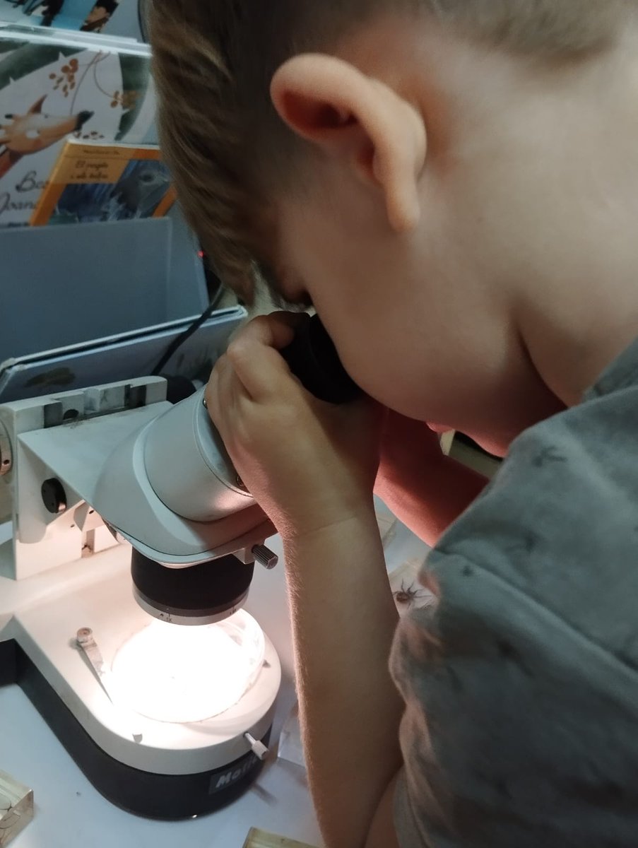 Ja tenim els racons de lliure elecció en ple funcionament.  Els més xics estan aprenent la importància de fer una bona tria segons el que més els interessa però abans han de descobrir tota la oferta que hi ha a l'escola. Exp. musicals, científiques, artístiques, matemàtiques etc.