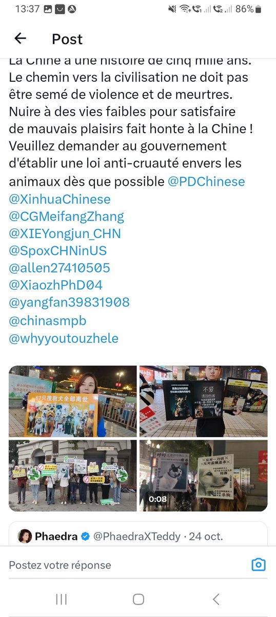 Les citoyens de conscience en #Chine appellent à la fin des abus, mais ces photos et vidéos sont interdites sur les réseaux sociaux chinois.
 #ENGvsSL #AnimalAbuse #AnimalCruelty #AnimalRights #AnimalCrossing #stockmarketcrash #Chats #Chiens #blendercat