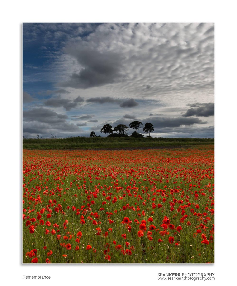 We will remember them…