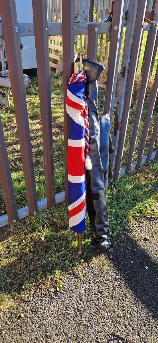 Buckshaw Scouts tweet media