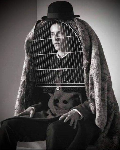 "Los hombres quieren volar, pero temen al vacío. No pueden vivir sin certezas. Por eso cambian el vuelo por jaulas. Las jaulas son el lugar donde viven las certezas.”
‘Los hermanos Karamazov’, Fiódor #Dostoievski