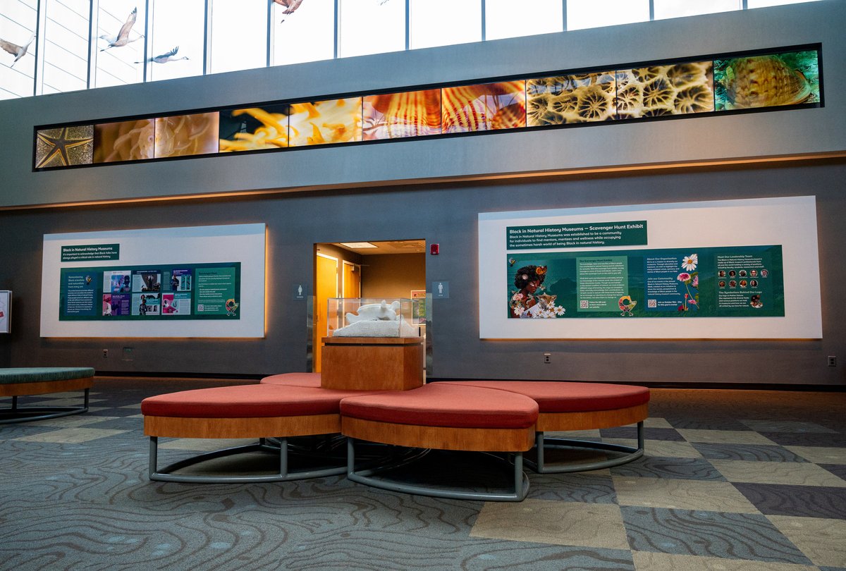 FloridaMuseum's tweet photo. Exhibit Spotlight πΌοΈ Black in Natural History Museums Scavenger Hunt
Explore #BlackinNHMs in this FREE exhibit developed in partnership with @BlackInNHMs. Start in our central gallery and walk our exhibits to discover Black scientists and naturalists.
π https://t.co/e94z5oNfaS https://t.co/1Q4jzsVKR8