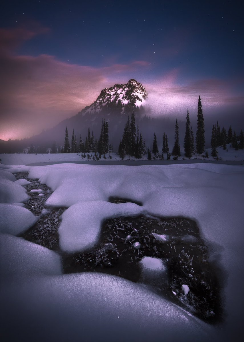 Winter just hit Mt Rainier National Park ❄️