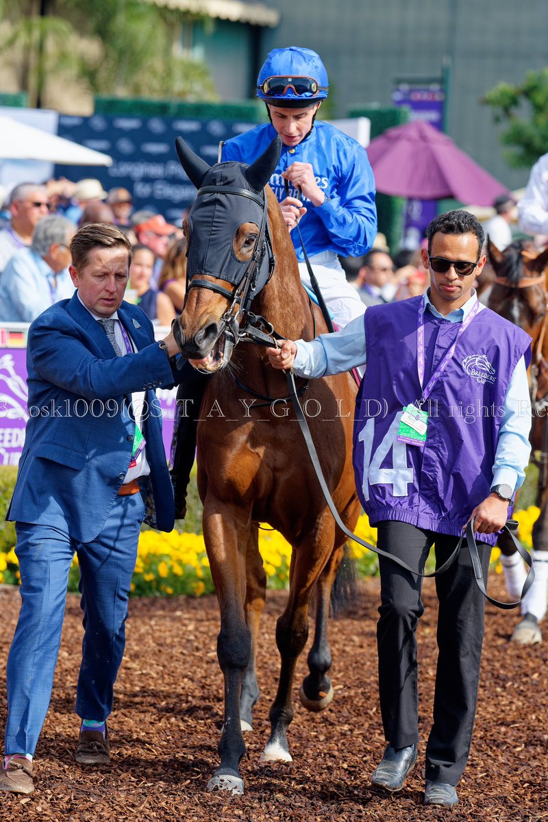 2023/11/4 #November42023
#BreedersCupMile #FANDUEL
#ブリーダーズカップマイル

1st. #MasterOfTheSeas
Jockey #WilliamBuick 
Trainer #CharlieAppleby
Owner #Godolphin
Breeder #Godolphin
#SantaAnitaParkRaceCourse( @santaanitapark )
#2023WorldChampionships #BreedersCup ( @breederscup )