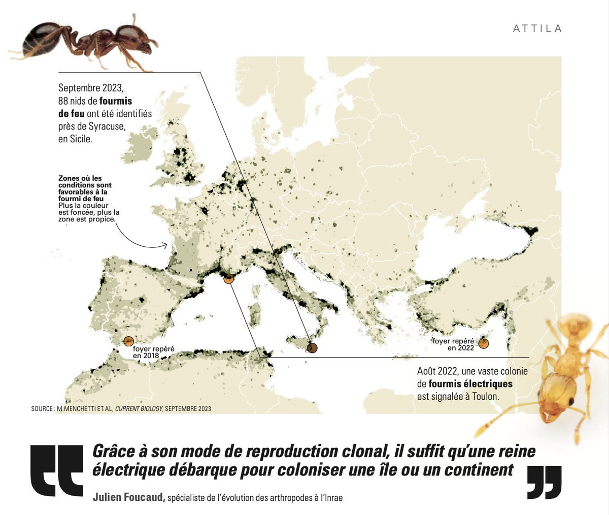 Alerte : deux calamités débarquent en Europe, la fourmi électrique et la fourmi de feu. L’occasion de relever “Europe”, le défi 14 du #30DayMapChallenge. Notre article vient de sortir, et il est en libre accès (oui oui, c’est cadeau !) sur notre site 🤓 epsiloon.com/tous-les-numer…