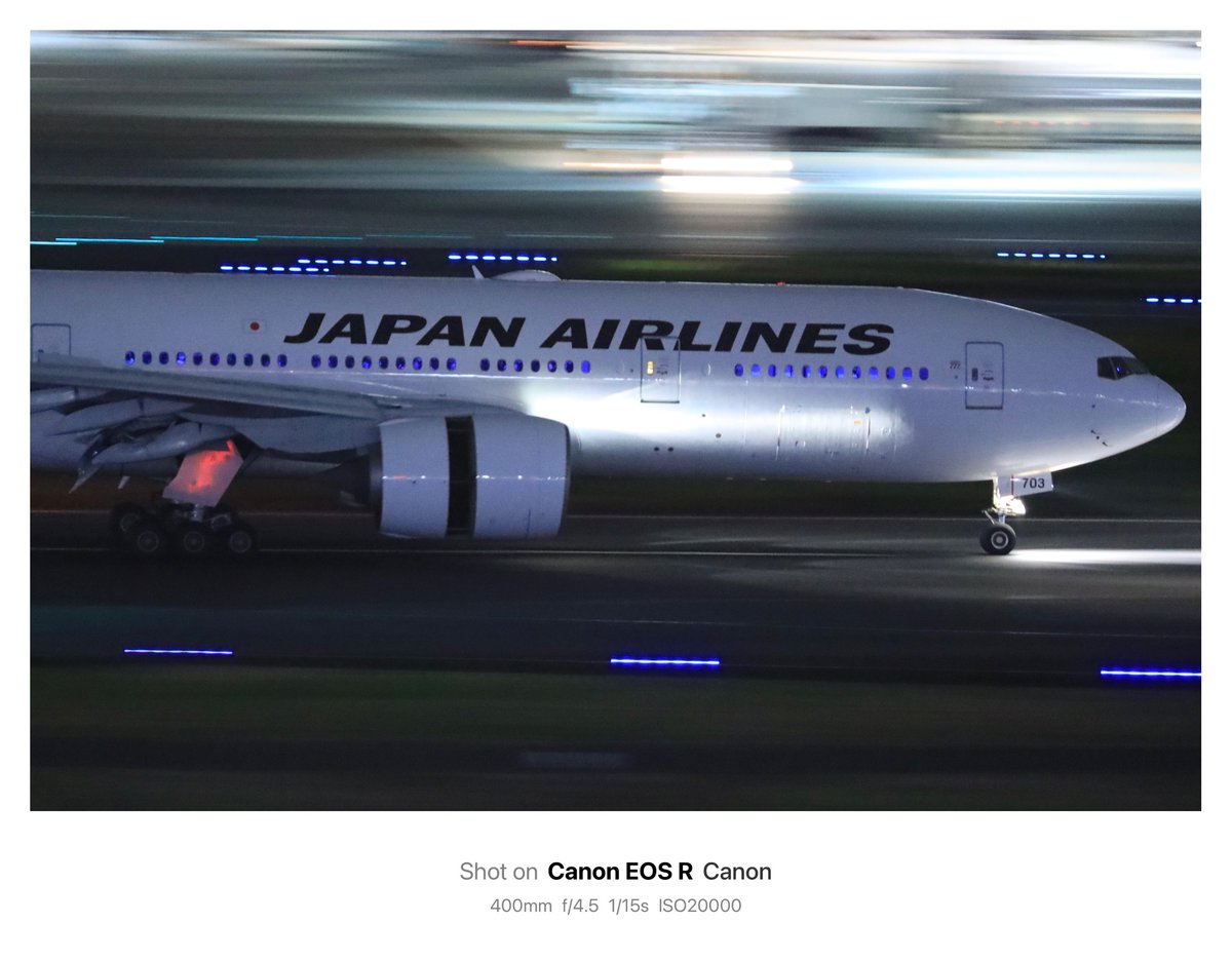 最後の最後でなんと同行していた方からEF200-400mm F4L IS USM EX1.4xを貸して頂き、過去最高の形で撮り納めできました…

まだ未編集です

感謝です！