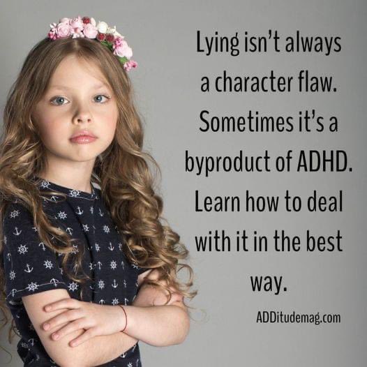 Lynne Fettes tweet media