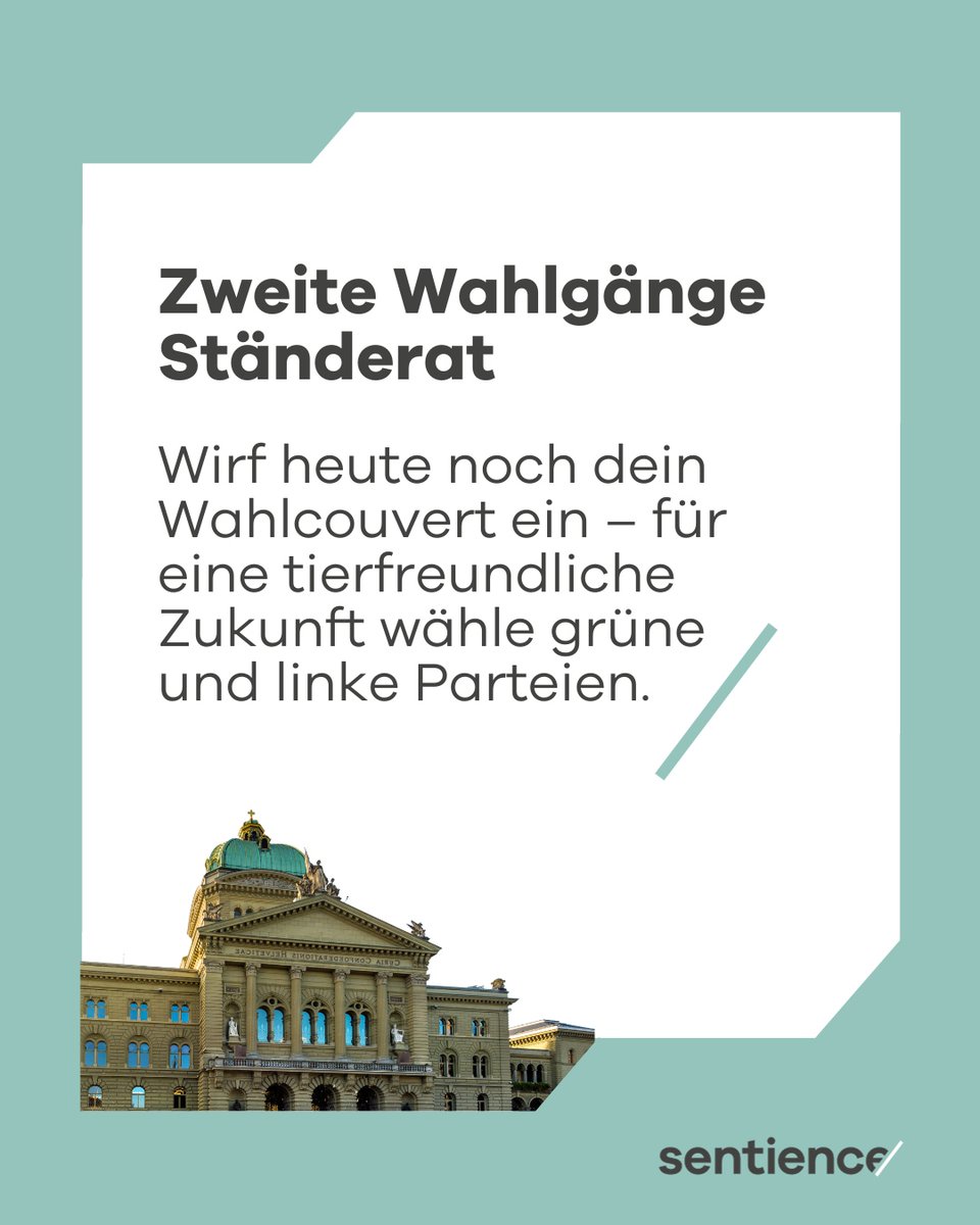 Sentience – Politik für Tiere tweet media