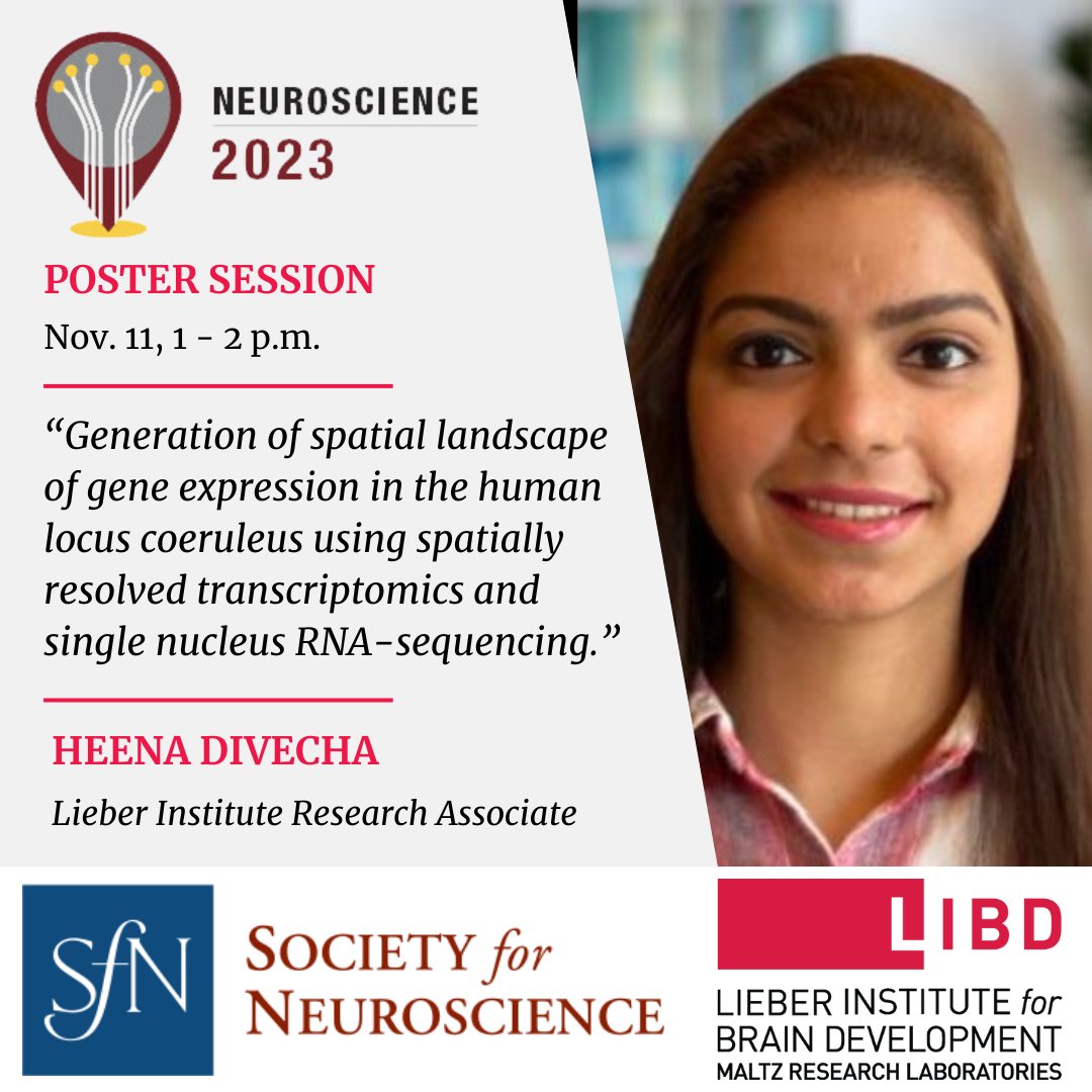 It's #SfN23! Catch Research Associate <a href="/HeenaDivecha/">Heena Divecha</a> and her poster PSTR041.14 "Generation of spatial landscape of gene expression in the human locus coeruleus using spatially resolved transcriptomics and single nucleus RNA-sequencing" today!