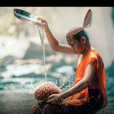 Neina Bassi tweet media