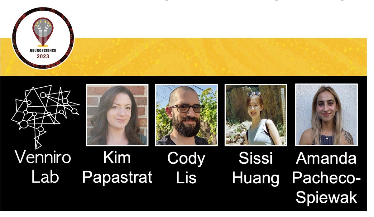 Venniro Lab #SfN2023 posters Mon 8am-12pm: social sensory mechanisms &amp; drug craving (LL16), norepinephrine &amp; social coordination (LL13), electrophysiology &amp; social reward (LL11), cerebellum &amp; social craving (LL16). <a href="/SissiHuangZY/">Zhengyi Sissi Huang</a> <a href="/KimPapastrat/">Kim Papastrat</a> <a href="/Codyisinclass/">Cody Allen</a> <a href="/AmandaPSpiewak/">Amanda Pacheco</a>