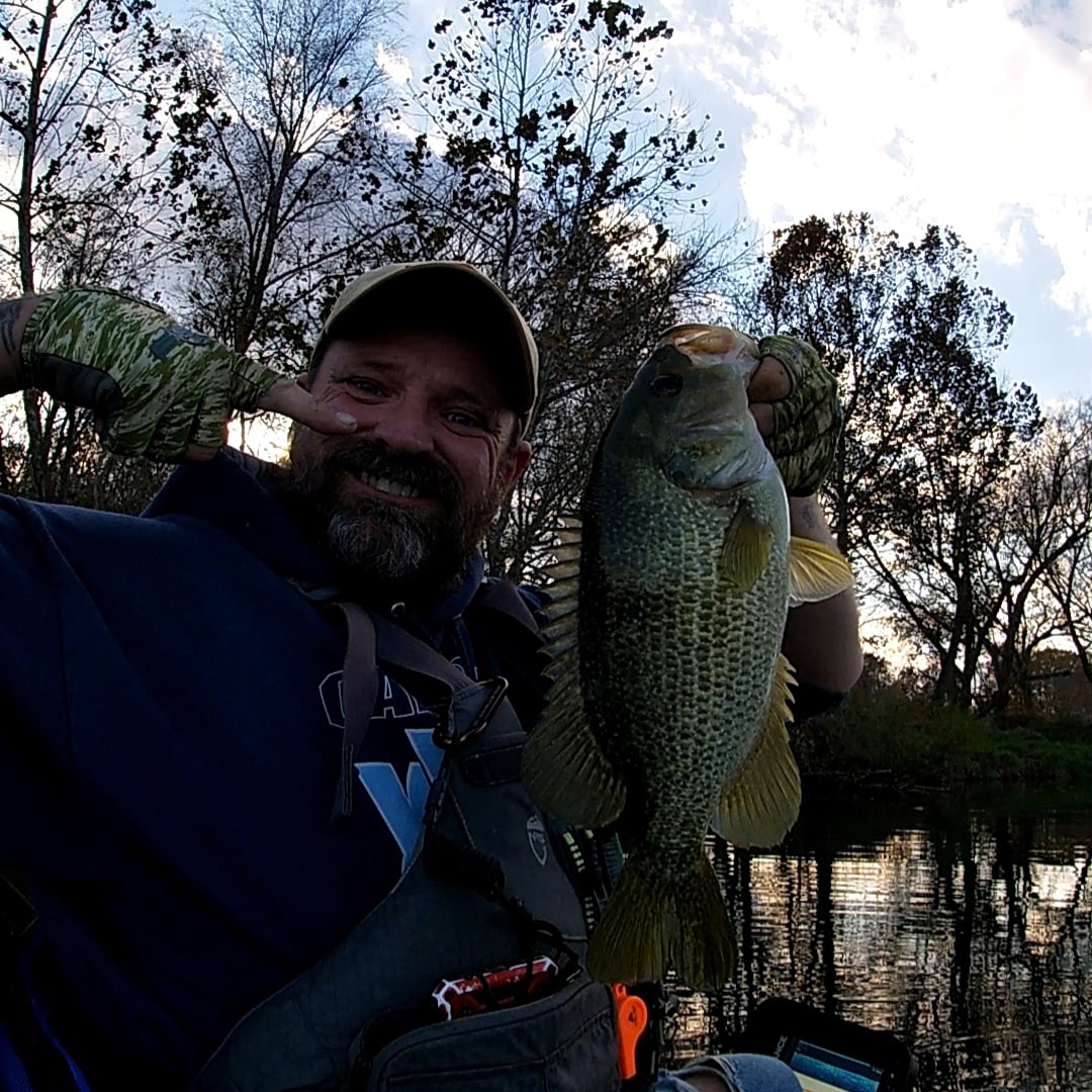 Monster Rockbass