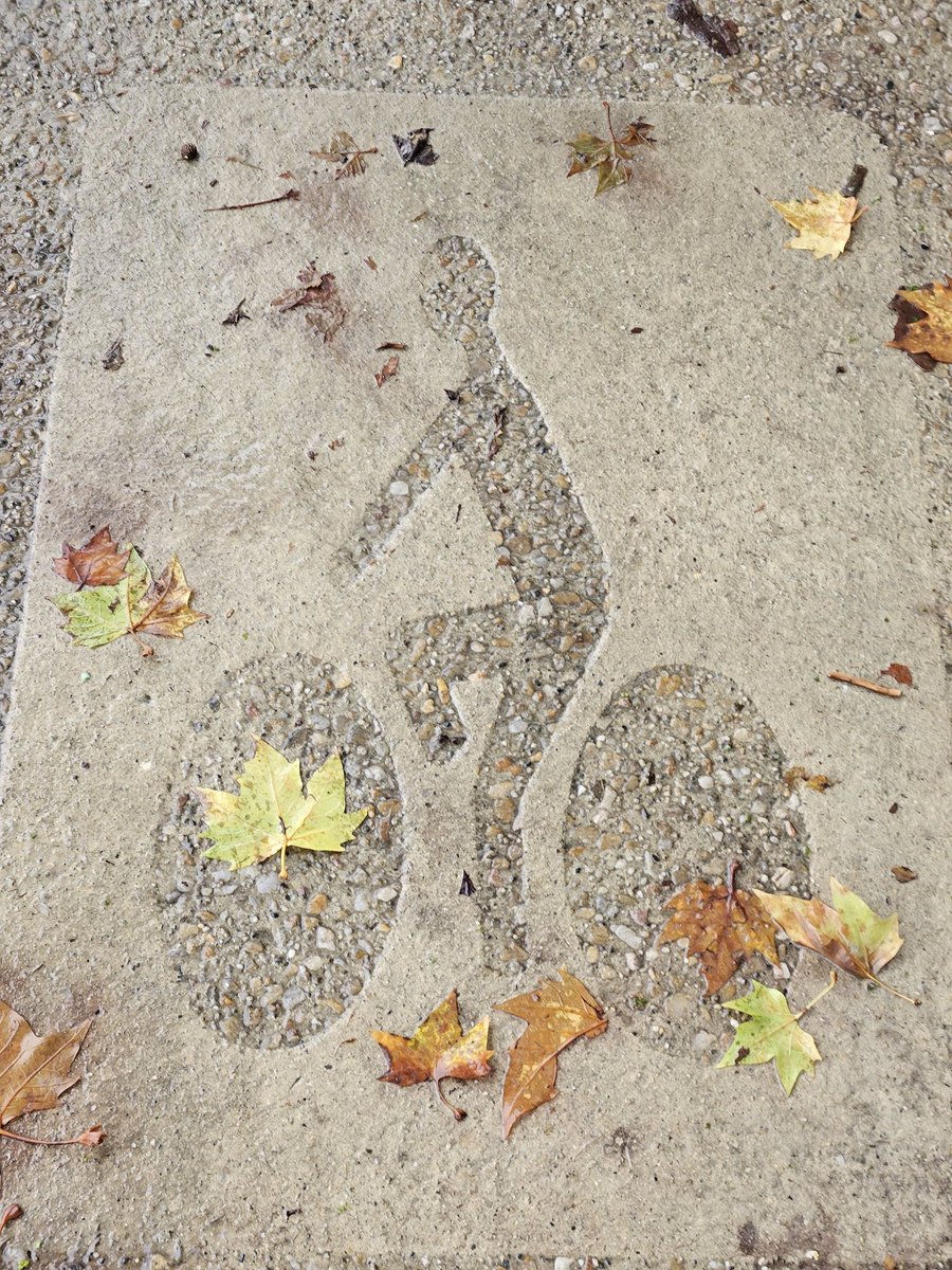 Nous attendons donc les propositions écrites de <a href="/jeandionis/">Jean Dionis</a> pour un dispositif ➕️juste, ➕️lisible, rendant autant la marche que le 🚲 attractifs à Agen. C'est un enjeu de santé publique🏥, de pouvoir d'achat💰, d'inclusion et d'attractivité commerciale du centre-ville !