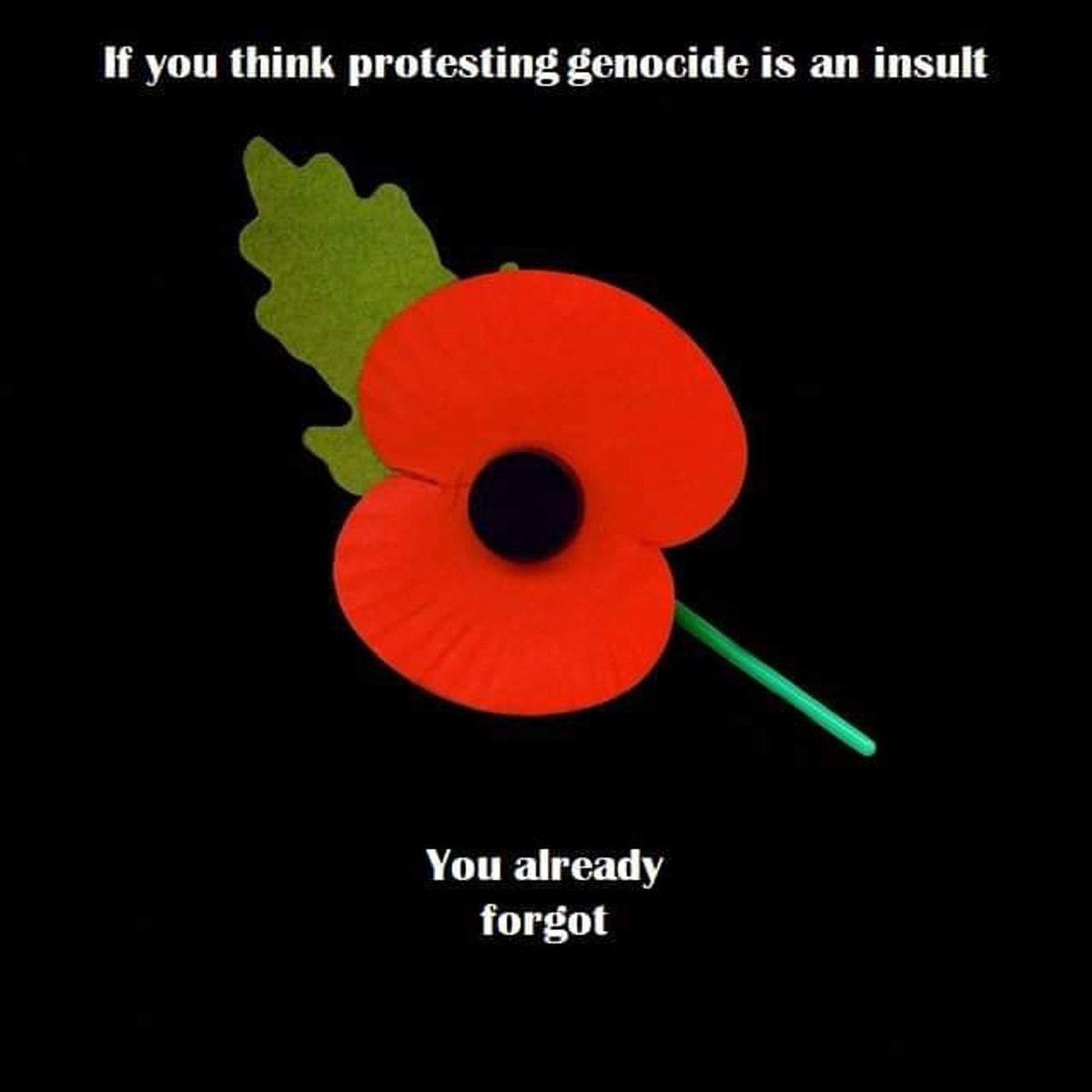 To those anti-protesters, those “lest we forget” and the ones stoking up the hatred…

#FreePalaestine #ArmistaceDay #Armistice #CeasefireInGazaNOW