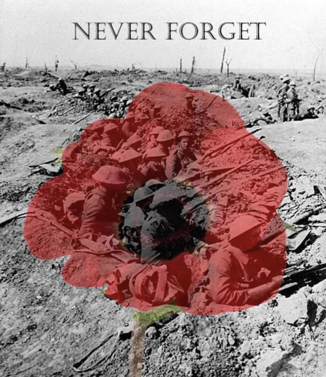 #WeWillRememberThem 
#ArmisticeDay2023