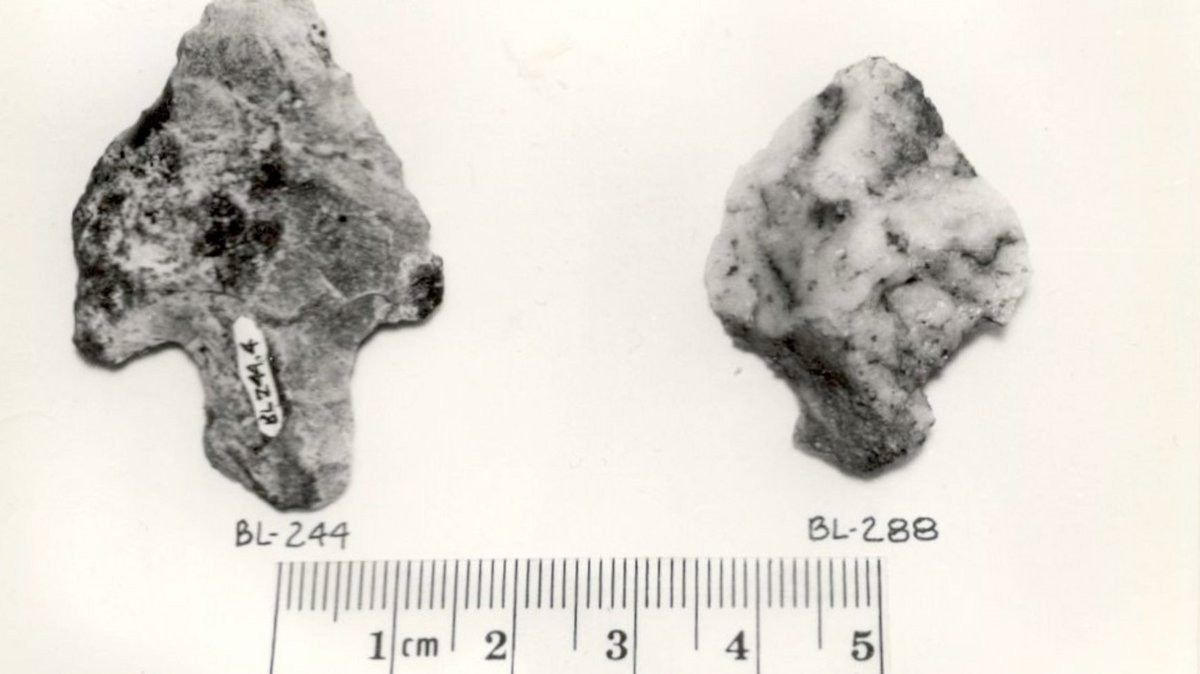 Humap: the storytelling map platform (@humap_me_) on Twitter photo Pictured: Tanged arrow spear points, found near #Waterford, #Ireland.
Our #RecordOfTheDay is from the <a href="/PortalisProject/">@PortalisProject</a> #Humap
See more portalisproject.eu/map/
#Archaeology #Mesolithic #WelshHistory #IrishHistory #Portalis #Maps  #DigitalHumanities #CulturalHeritage #EdTech Pictured: Tanged arrow spear points, found near #Waterford, #Ireland.
Our #RecordOfTheDay is from the <a href="/PortalisProject/">@PortalisProject</a> #Humap
See more portalisproject.eu/map/
#Archaeology #Mesolithic #WelshHistory #IrishHistory #Portalis #Maps  #DigitalHumanities #CulturalHeritage #EdTech