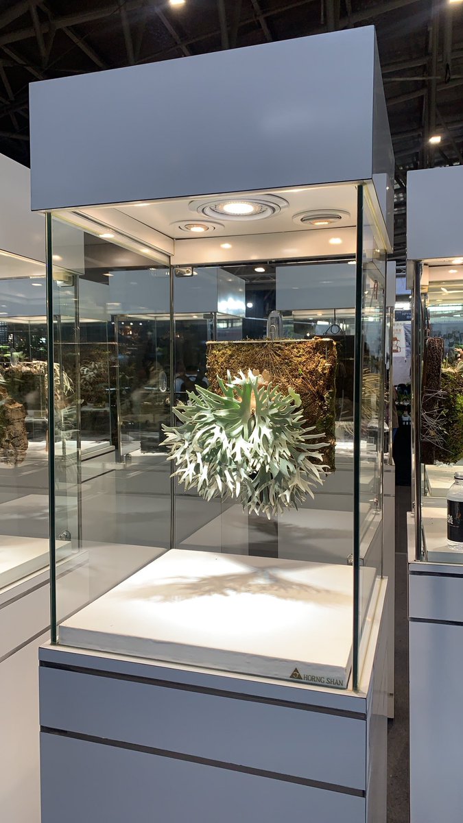 看植物展！！！！