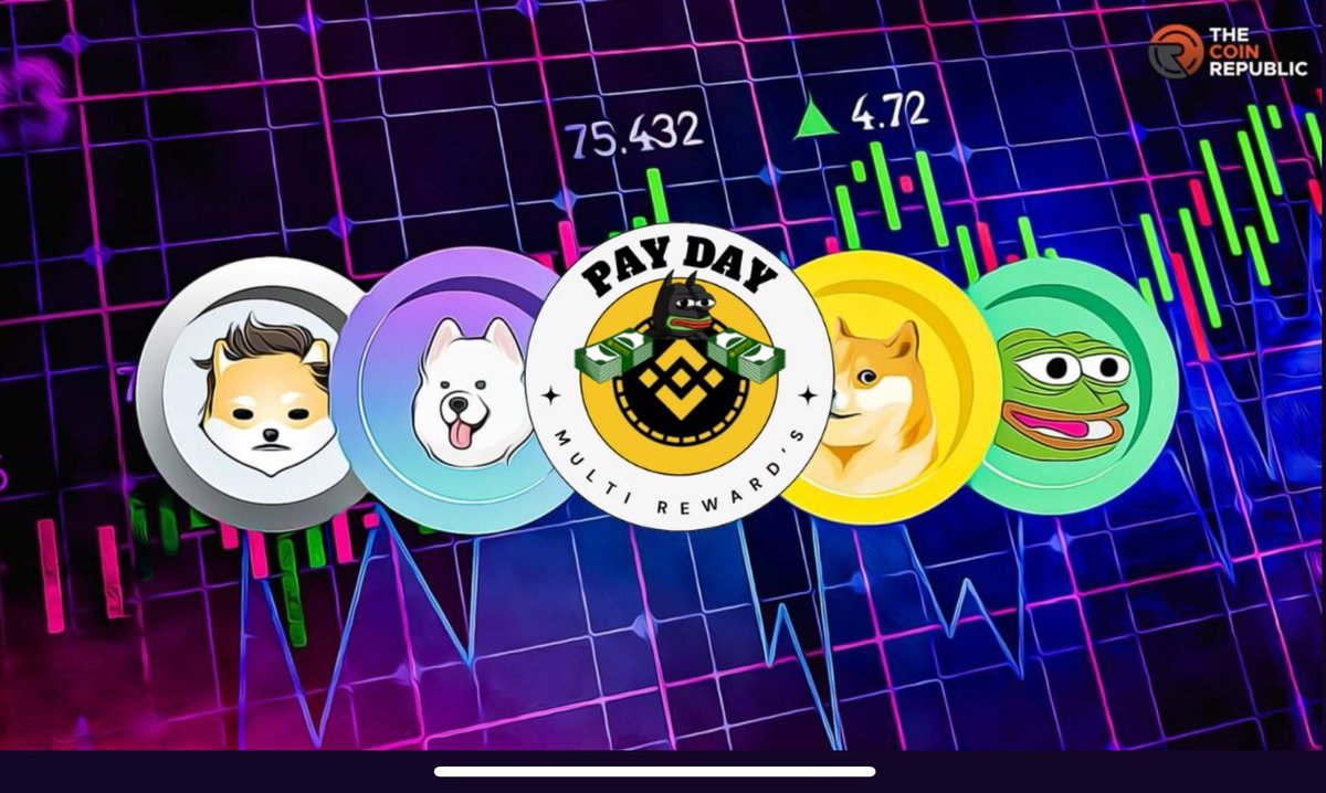 PayDay BSC - MultiRewards tweet media