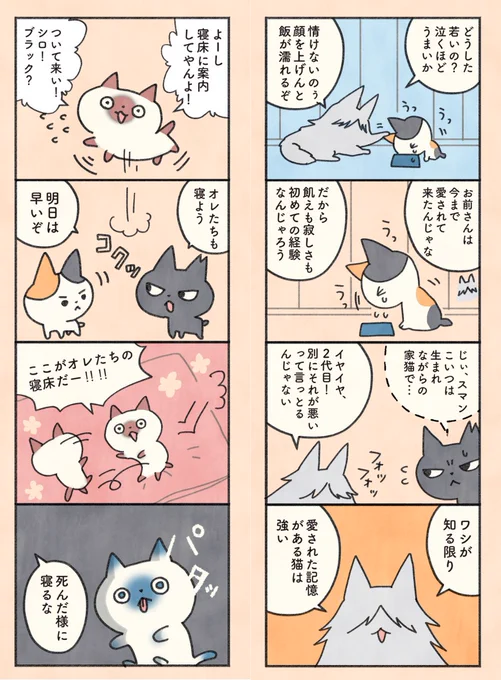 「もしも猫」まとめ読み 第1章(5/12) #漫画がよめるハッシュタグ