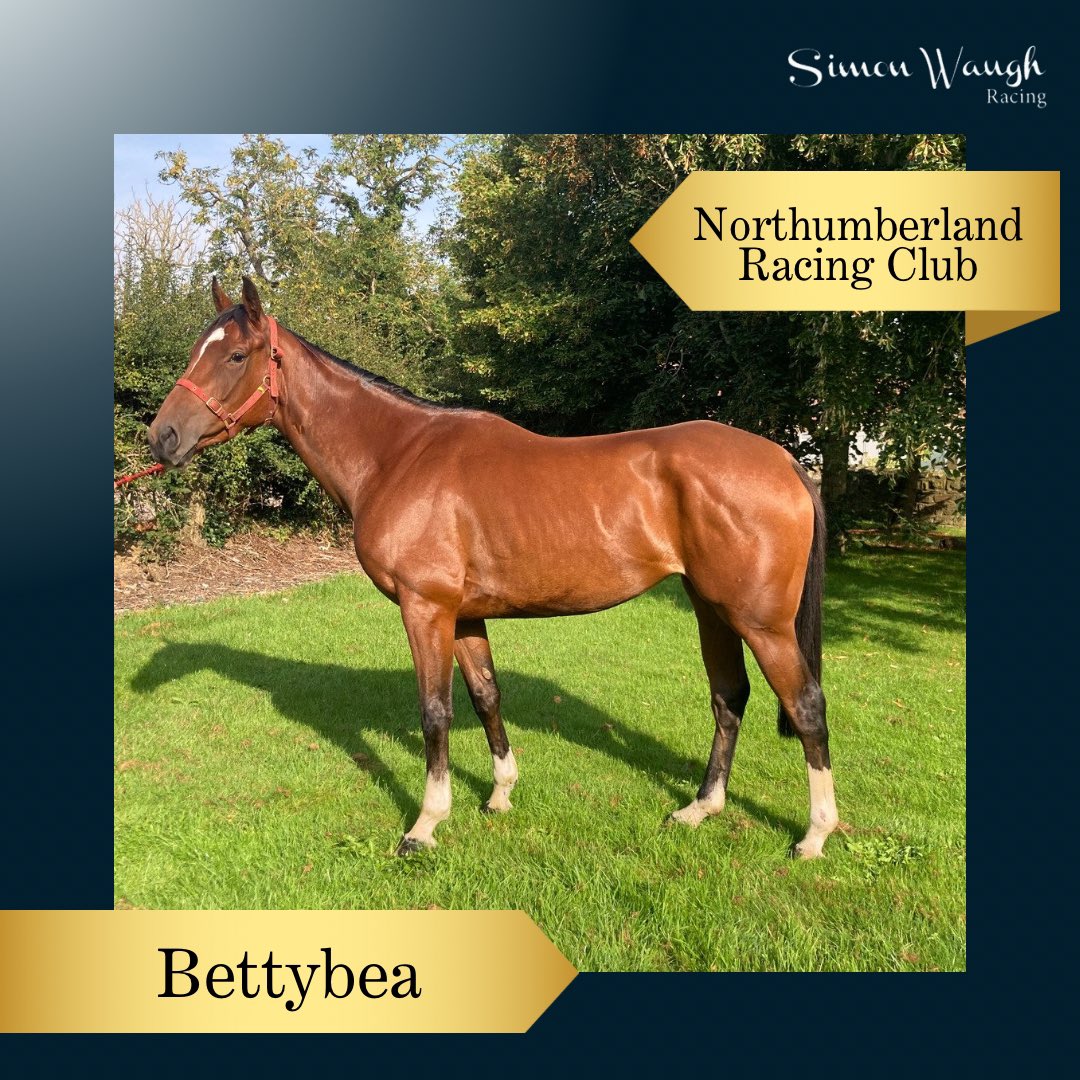 Simon Waugh Racing (@swaughracing) on Twitter photo Running today at <a href="/KelsoRacecourse/">Kelso Racecourse</a>:
🐴 BETTYBEA
⭕️ <a href="/RacingTV/">Racing TV</a> Open NHF
⏰ 3.55pm
🏇 <a href="/BillShanahan16/">Bill Shanahan</a>
Good luck to all #NorthumberlandRacingClub connections! 🟢🟡 Running today at <a href="/KelsoRacecourse/">Kelso Racecourse</a>:
🐴 BETTYBEA
⭕️ <a href="/RacingTV/">Racing TV</a> Open NHF
⏰ 3.55pm
🏇 <a href="/BillShanahan16/">Bill Shanahan</a>
Good luck to all #NorthumberlandRacingClub connections! 🟢🟡