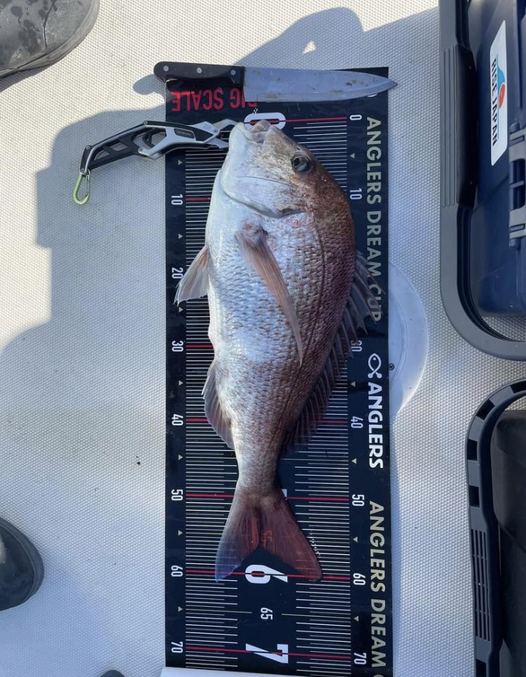 GoodgoOrg's tweet photo. 宮城GoodGo 28ft
11月9日

＃宮城　#東北　#GoodGo #釣船　＃グッドゴー
#fishing_Esperanza 
#タイラバ　＃ジギング　#塩釜　#wonmo #wonmomarine ＃タイ　＃スイッチ　#オレンジ https://t.co/sC65vgKNad