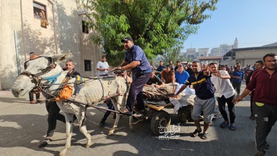 لم يقل النبيُّ ﷺ من عاداهم
وإنما قال من خذلهم
فالعدو لا يُتوقع منه غير الأذى
أما الخذلان فيأتيك ممن تُحب لهذا هو أكثر مرارة من العداوة
اليوم مات أطفال في غزّة عطشاً
وها هم ينقلون الشهداء والجرحى بعربة تجرها الحمير لنفاد الوقود في سيارات الاسعاف
ونحن العرب أكثر الأمم مالا وماءً