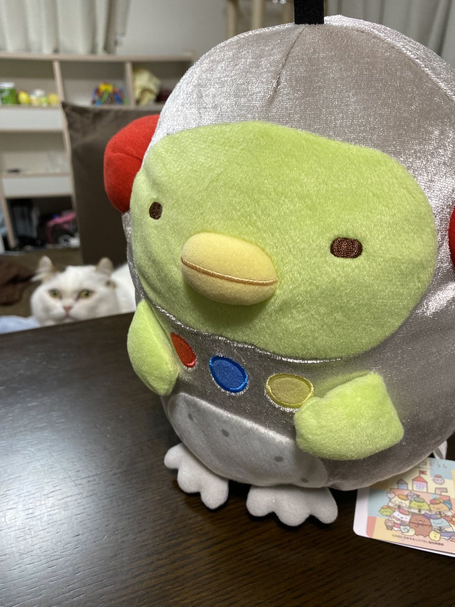 sumikko_rinrin's tweet photo. 旦那が取ってきてくれたあああああ

神！！！好きいいぃ🥹💕💕💕💕💕 https://t.co/S67rEhQfTW